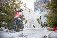 <b>天辰直属招商周末好去处（2月7日～9日）兰花展</b>