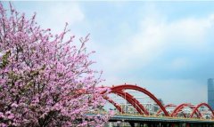 <b>天辰安卓版APP下载朋友圈吸睛的4个维度，你有了</b>