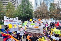 <b>孔子学院遭各国抵制天辰总代理 中共改名被嘲讽</b>