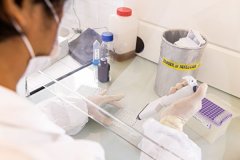 <b>安省周一增天辰招商主管119人染疫 1人死亡</b>